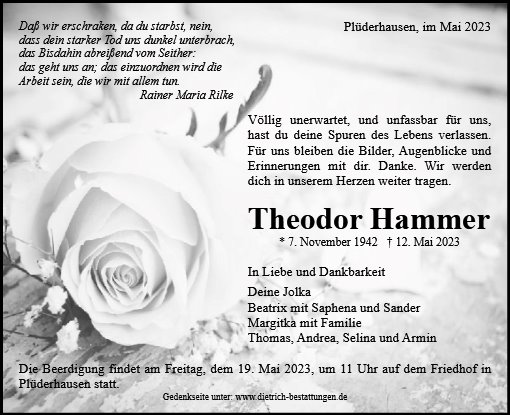 Theodor Hammer