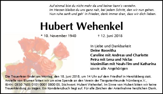 Hubert Wehenkel