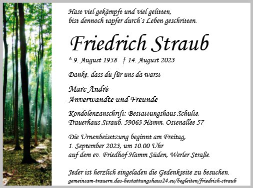 Friedrich Straub
