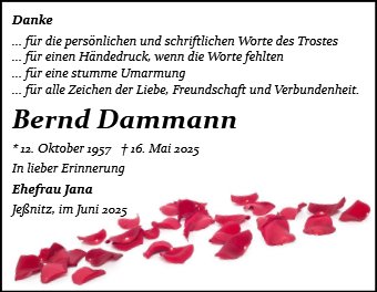 Bernd Dammann