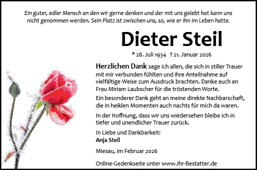Dieter Steil