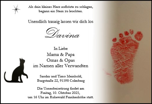 Davina Meinhold