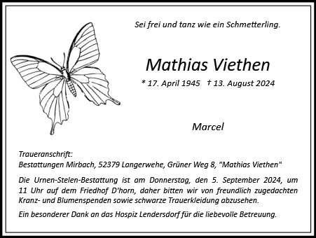 Mathias Viethen