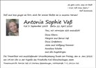 Anzeige