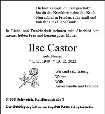 Ilse Castor