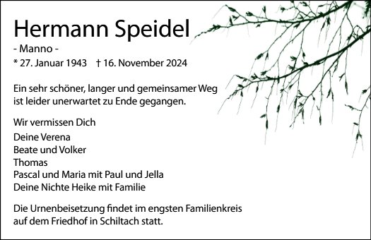 Hermann Speidel