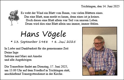 Hans Vögele