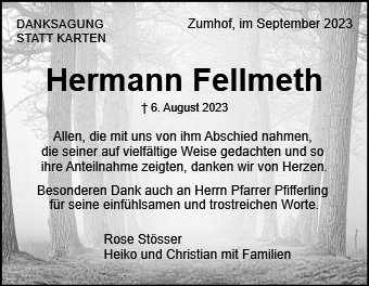 Hermann Fellmeth