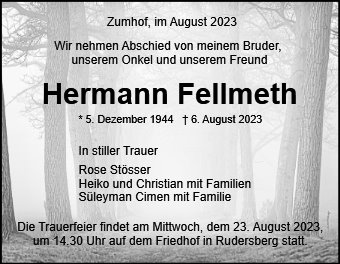 Hermann Fellmeth