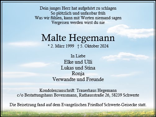 Malte Hegemann