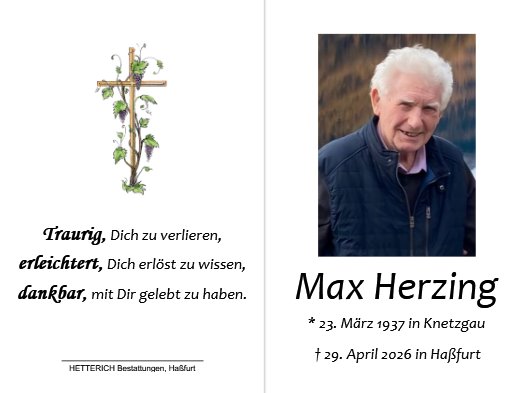 Maximilian Herzing