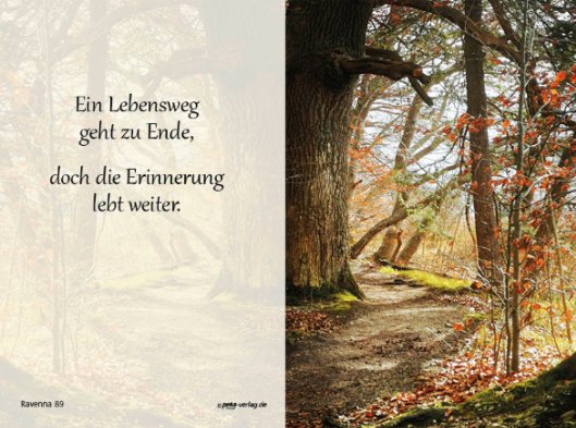 Otto Schroll