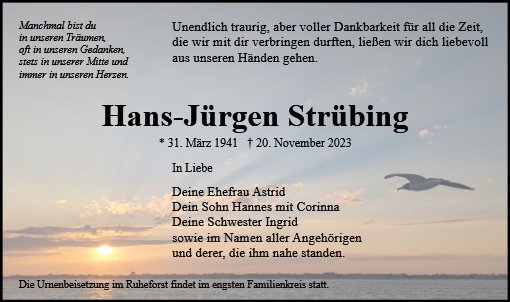 Hans-Jürgen Strübing