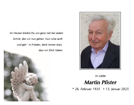 Martin Pfister