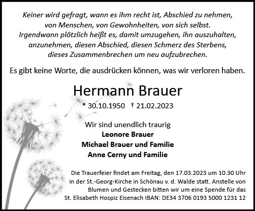 Hermann Brauer