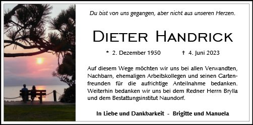 Dieter Handrick