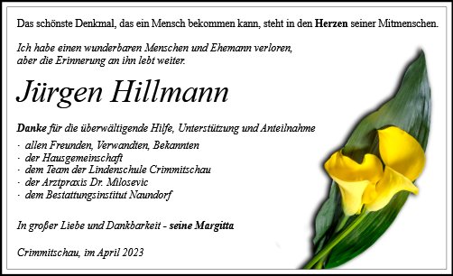 Jürgen Hillmann