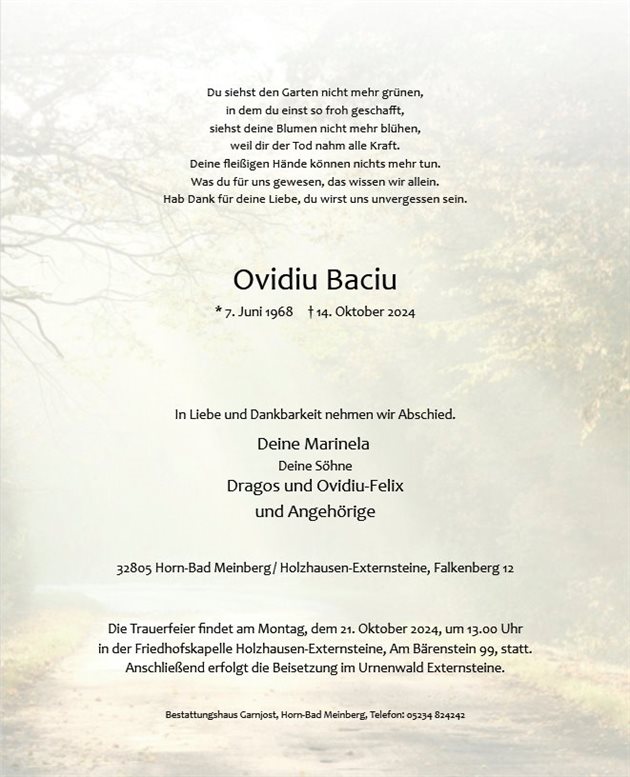 Ovidiu Baciu