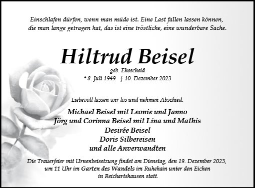 Hiltrud Beisel