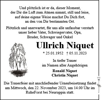 Ullrich Niquet