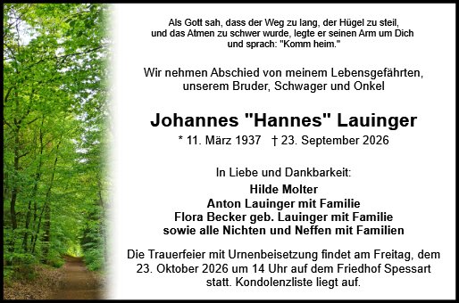 Johannes Lauinger