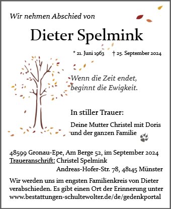 Dieter Spelmink