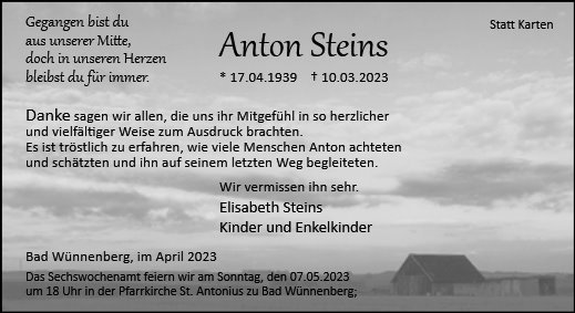 Anton Steins