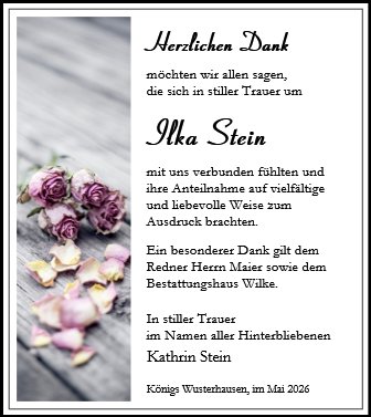 Ilga Stein