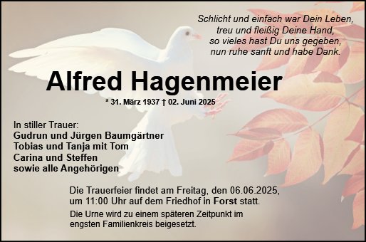 Alfred Hagenmeier