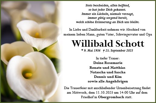 Willibald Schott