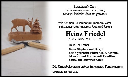 Heinz Friedel