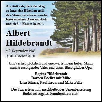 Albert Hildebrandt