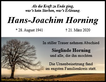 Hans-Joachim Horning