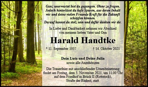 Harald Handtke