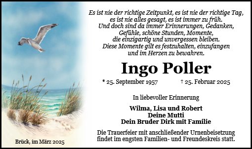 Ingo Poller