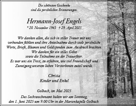 Hermann-Josef Engels