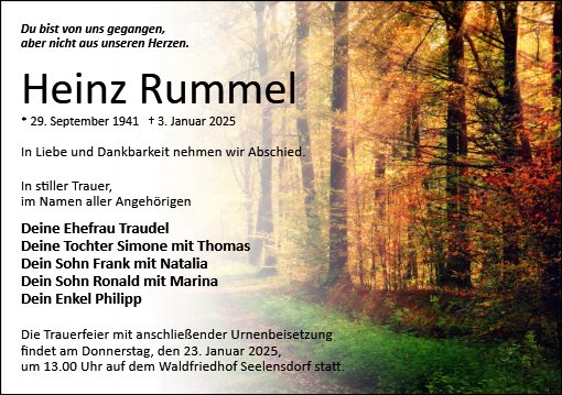 Heinz Rummel