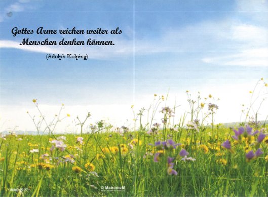 Irmgard Feiler