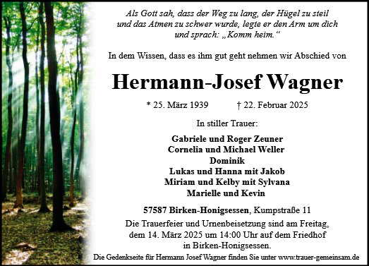 Hermann-Josef Wagner