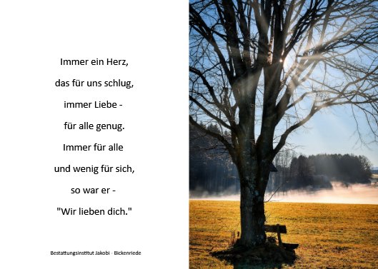 Dieter Heise