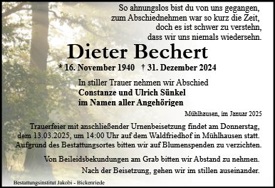 Dieter Bechert