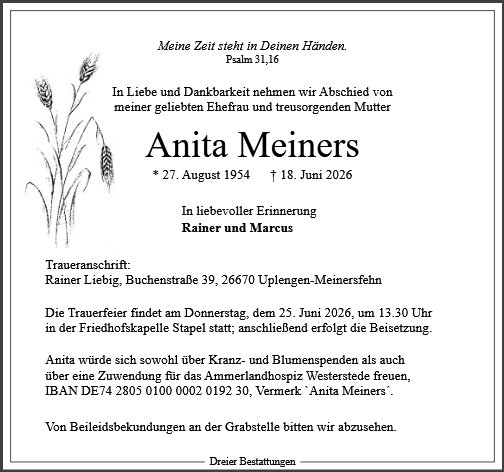 Anita Meiners