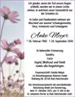 Anzeige