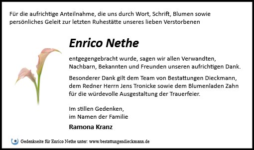 Enrico Nethe