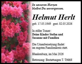 Helmut Herlt