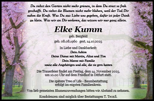 Elke Kumm