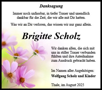 Brigitte Scholz