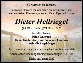 Dieter Hellriegel