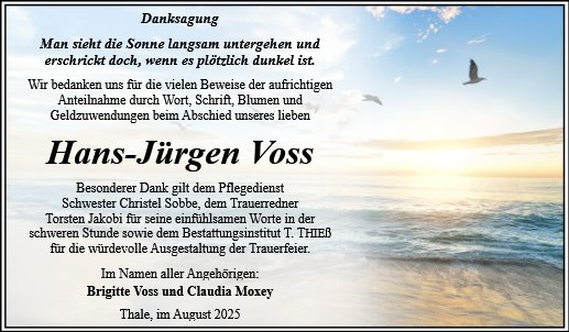 Hans-Jürgen Voss
