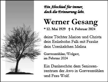 Werner Gesang